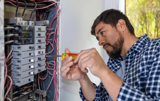 Best Electrical Rewiring Services  in Gibraltar, MI